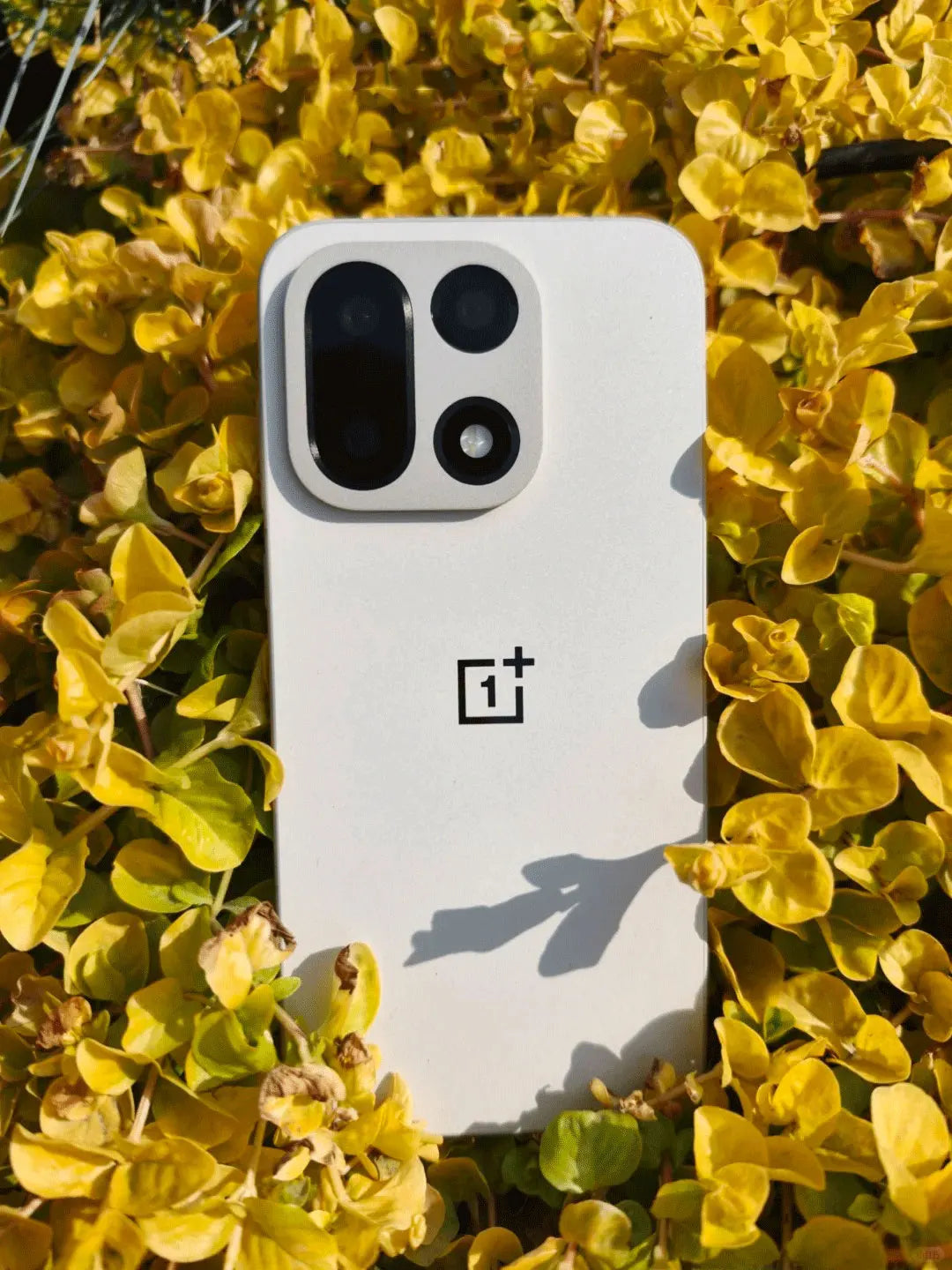 OnePlus 15 Smartphone — Snapdragon 8 Elite Gen 5, Pantalla AMOLED 6,78" 165Hz, Triple Cámara 50MP, 7300mAh